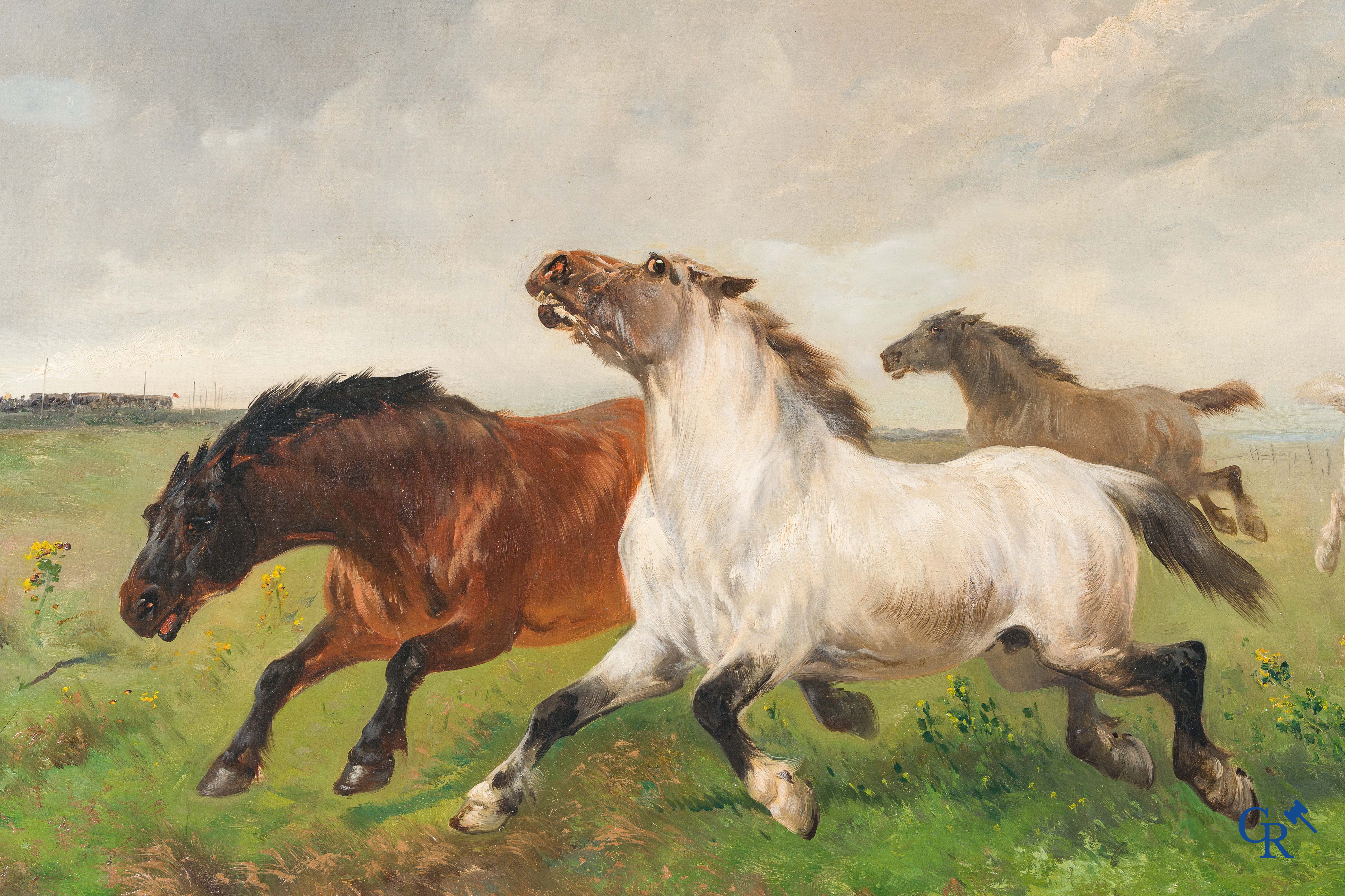 Henry Schouten. Groot schilderij in een mooie vergulde kader. "Paarden in een weide" Linksonder gesigneerd.