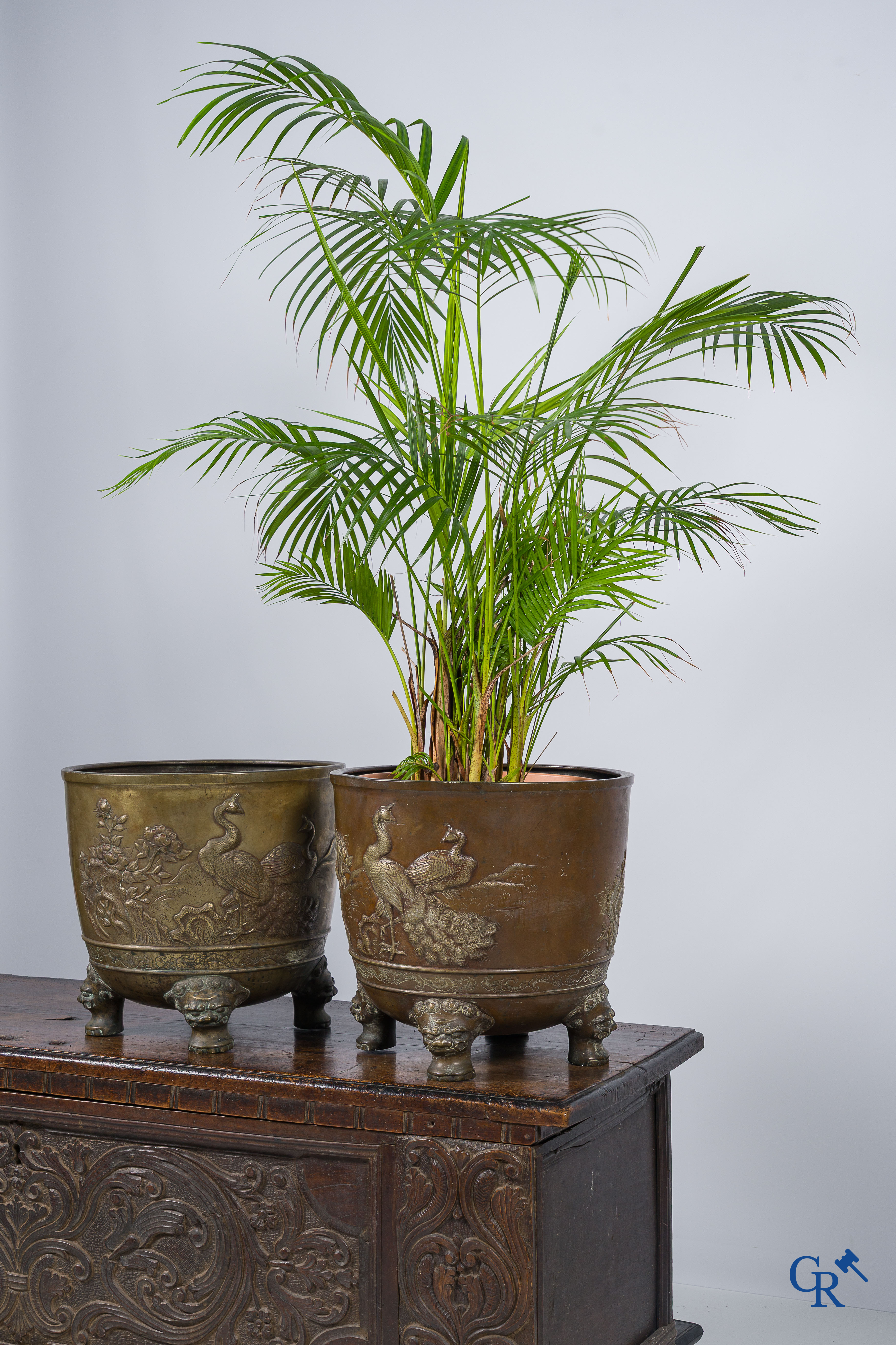 Aziatica. Japan. 2 grote Japanse bronzen cache-pots of jardinières. Decor van pauwen. 19e eeuw.