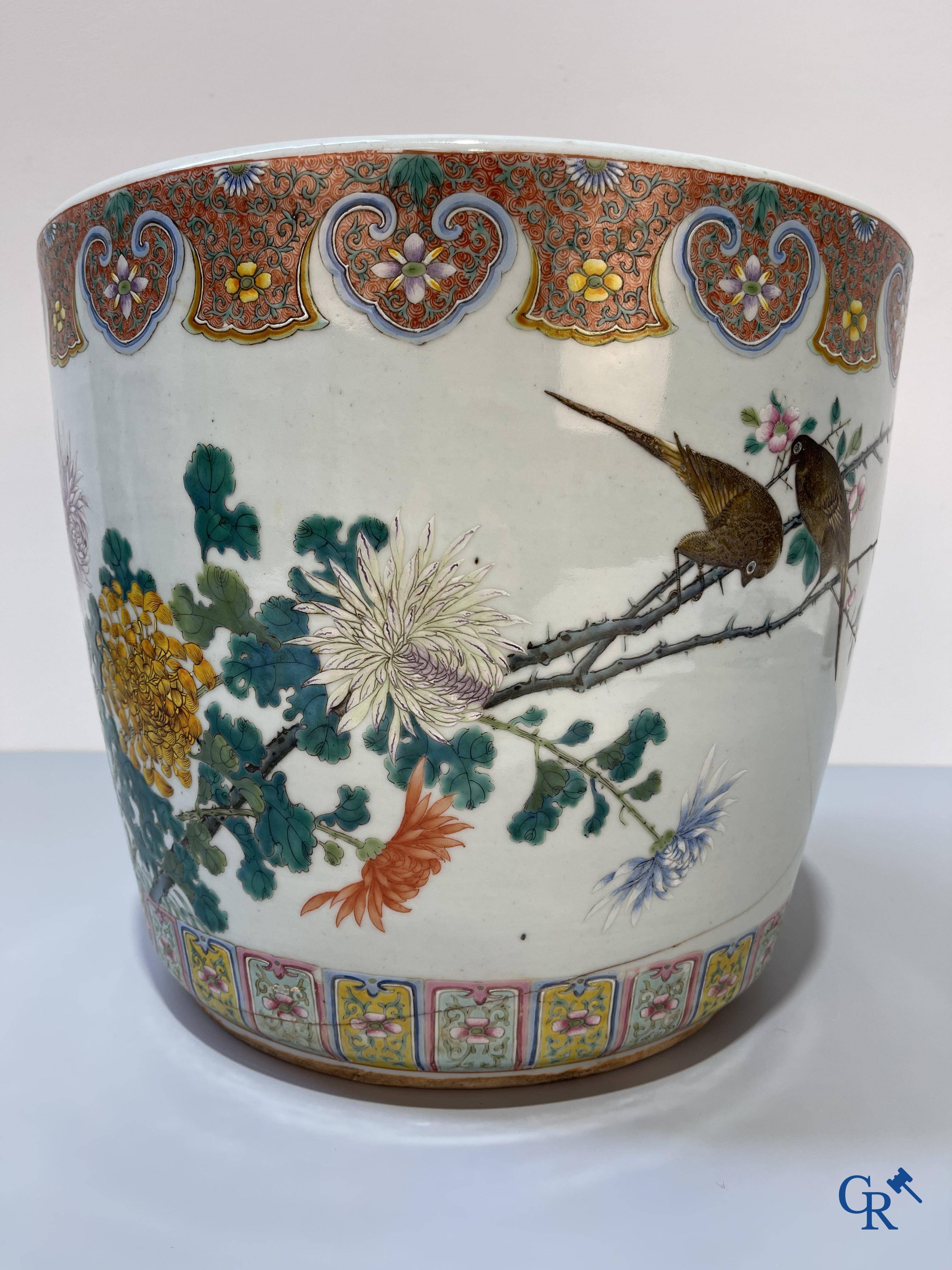 Art Asiatique, une grande jardinière en porcelaine chinoise famille rose avec un décor de fleurs et d'oiseaux.