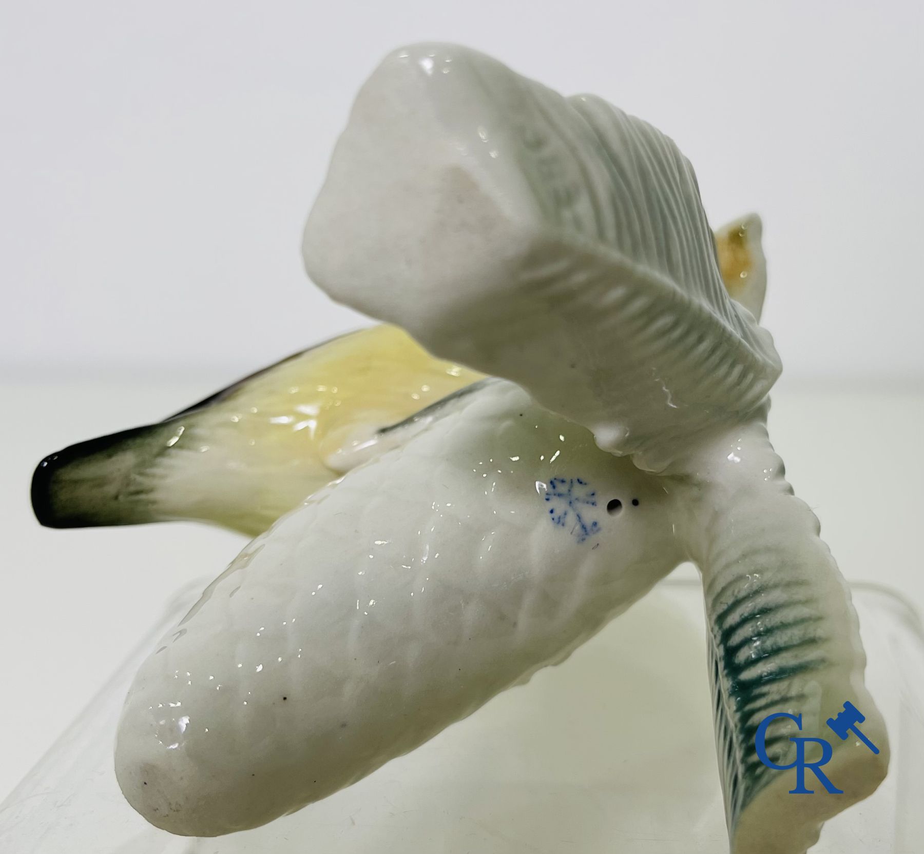 A lot of 4 birds in German porcelain and Italian faience.