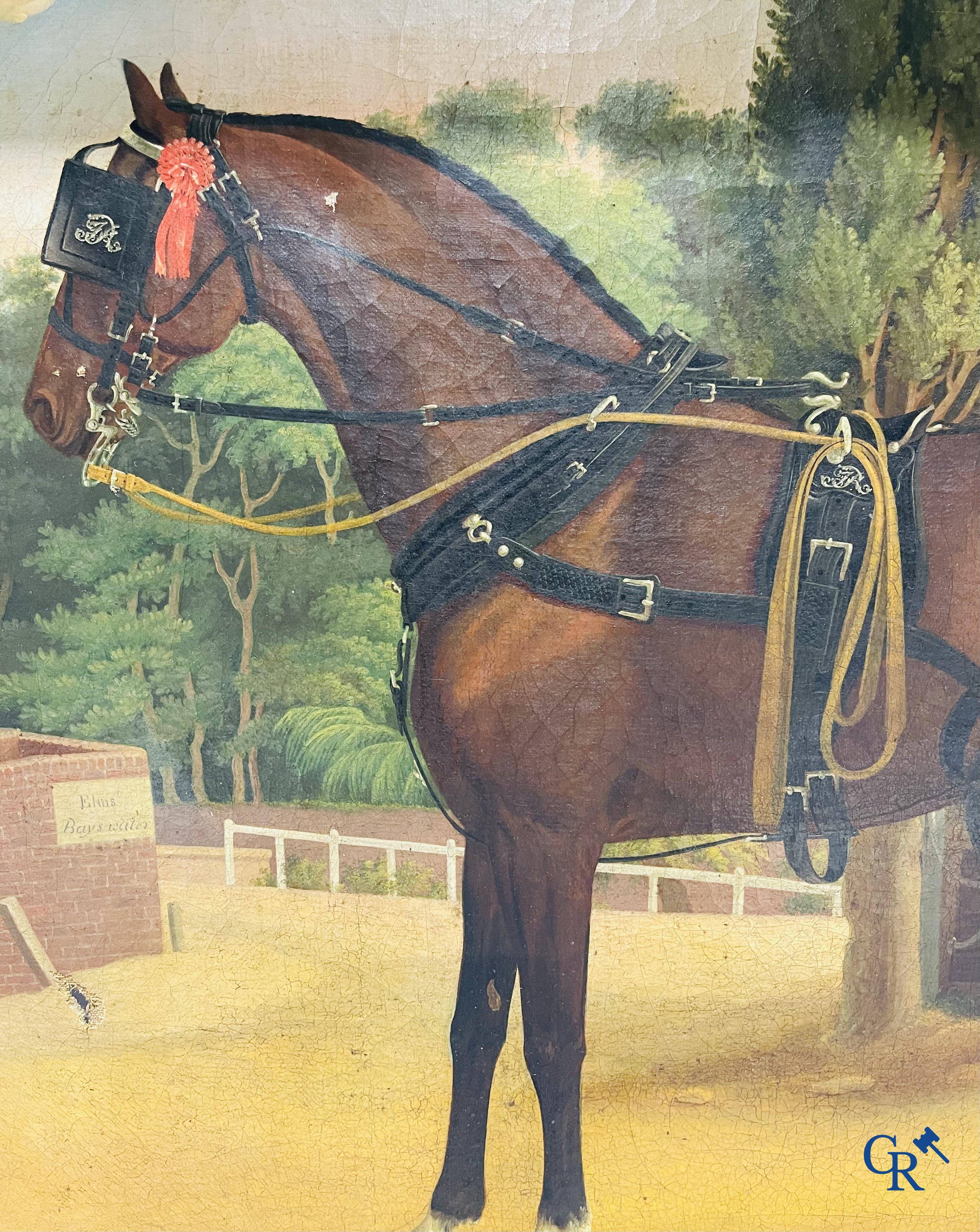 Een portretschilderij van een paard. Olie op doek, 19e eeuw.