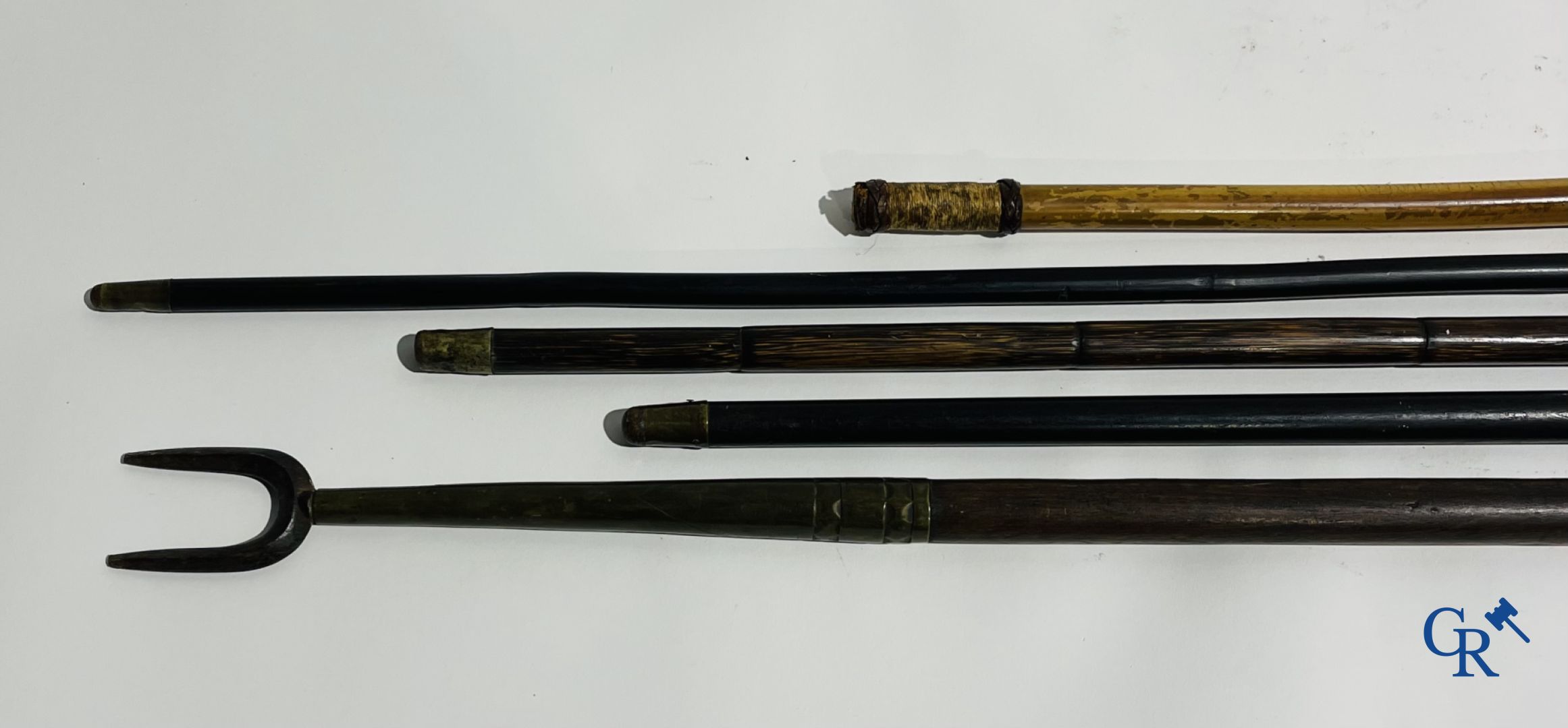 5 walking sticks including 1 with silver handle.