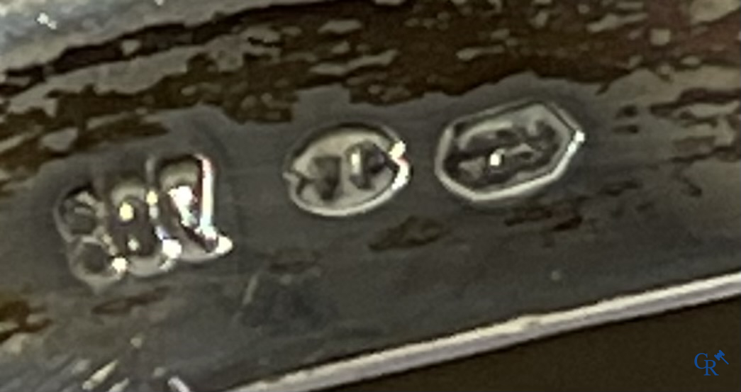 Zilver. Paar schenkkannen in zilver 800°/00 met handvaten in de vorm van slangen.