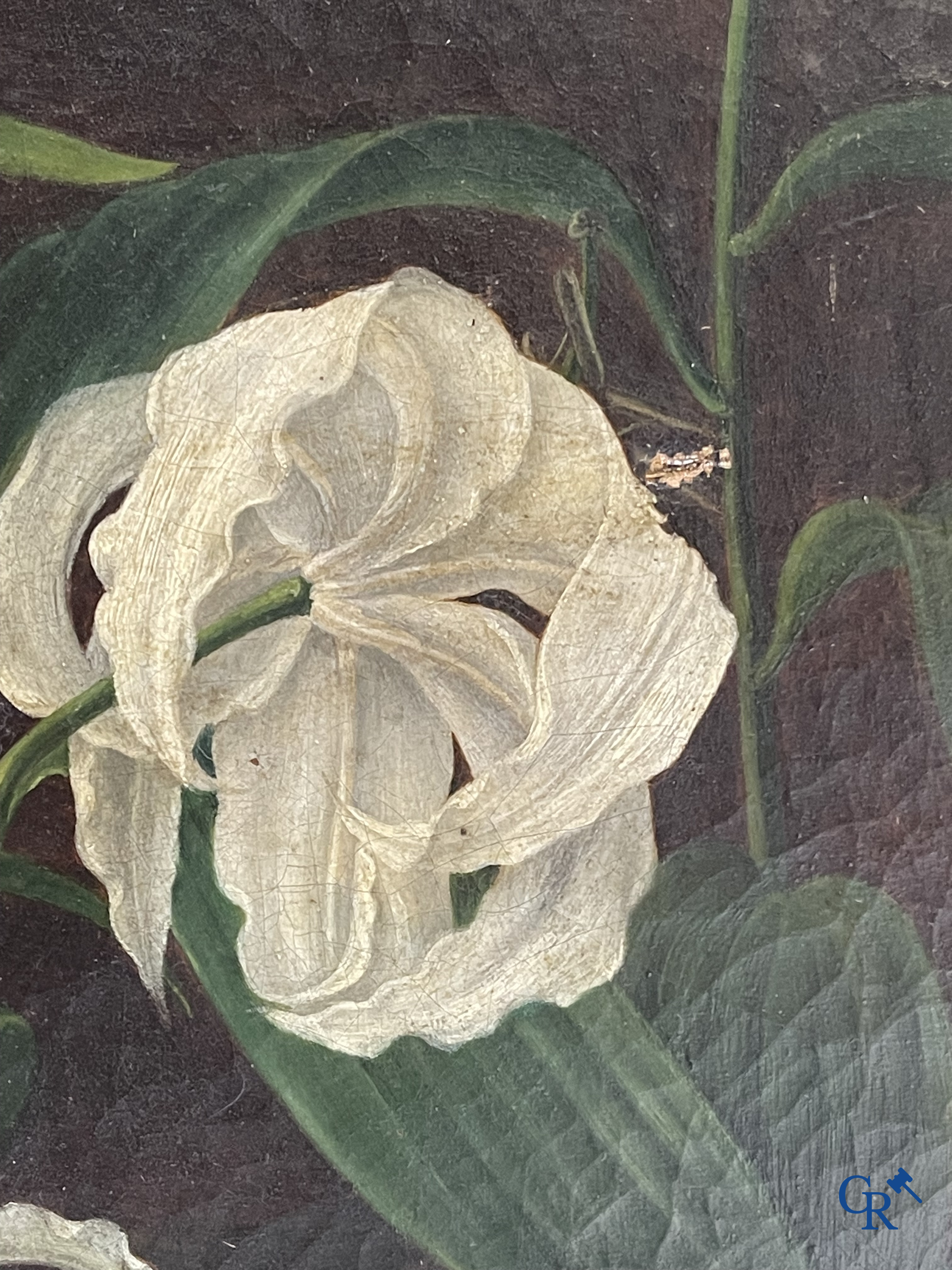 D. De Graet, 1844. Witte lelies. Schilderij, olie op doek. Gesigneerd en gedateerd rechtsonder.