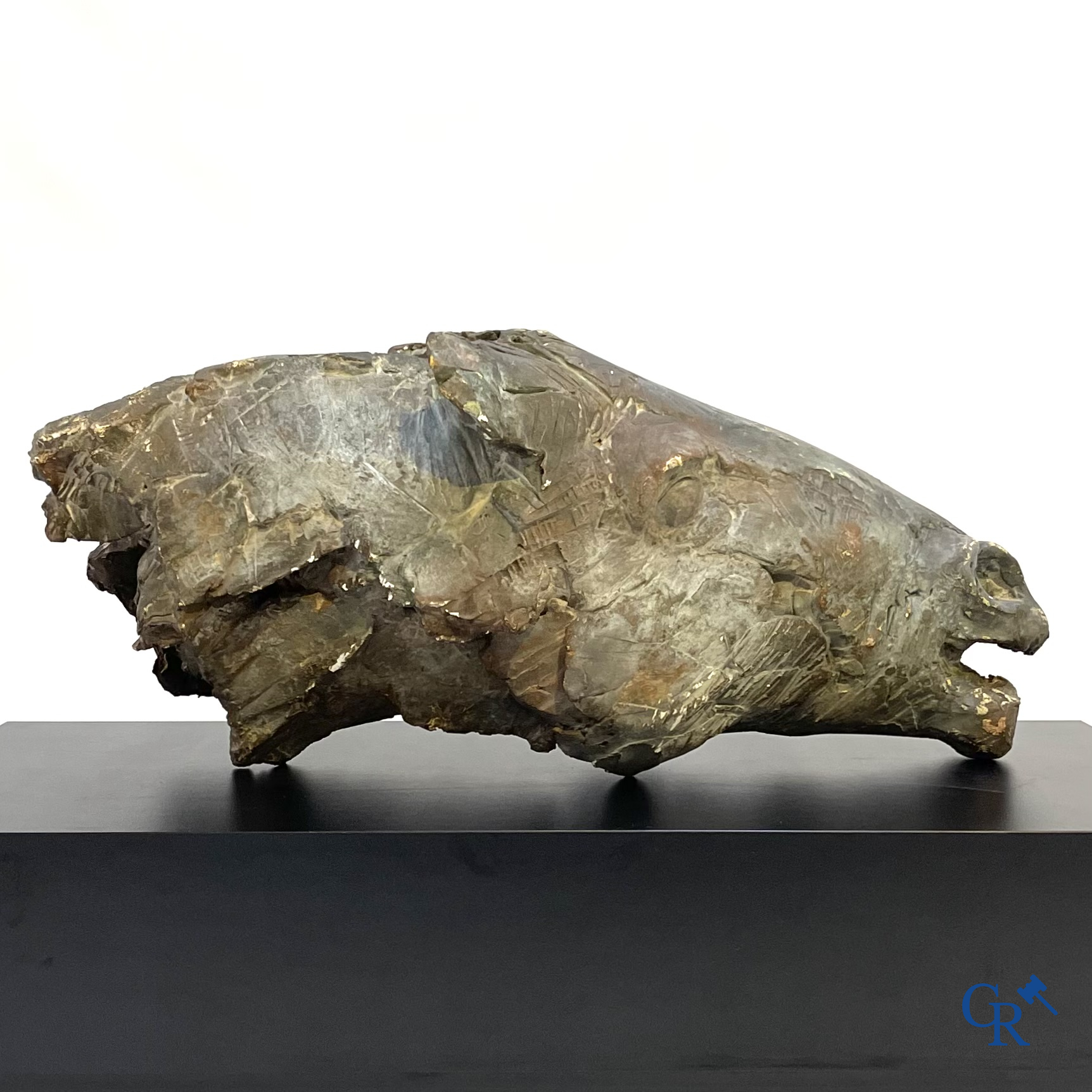 Een grote esquisse in plaaster van een paardenhoofd. Niet gesigneerd.