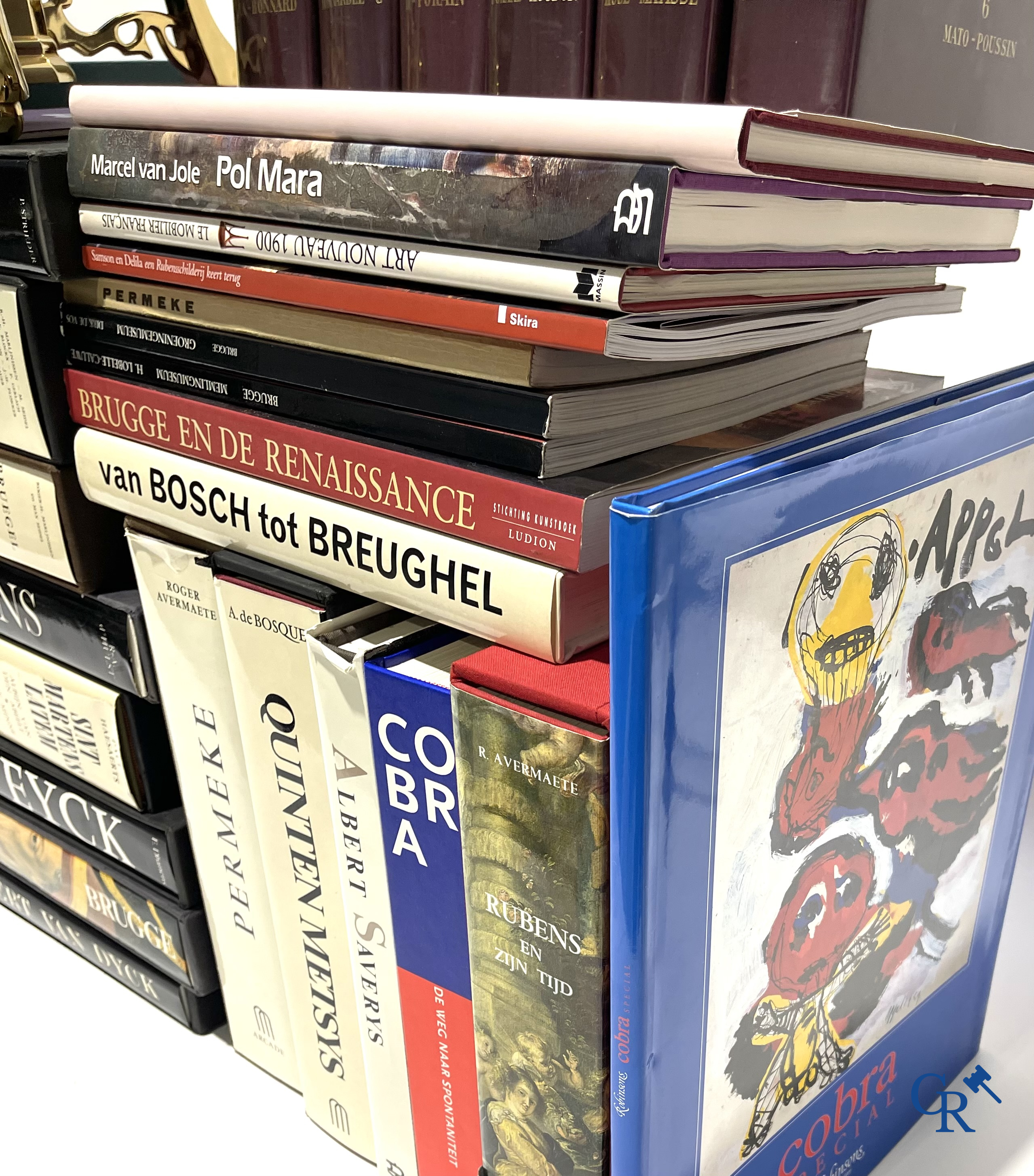 Groot lot kunstboeken, het Bénézit-woordenboek en een decoratieve moderne wereldbol.