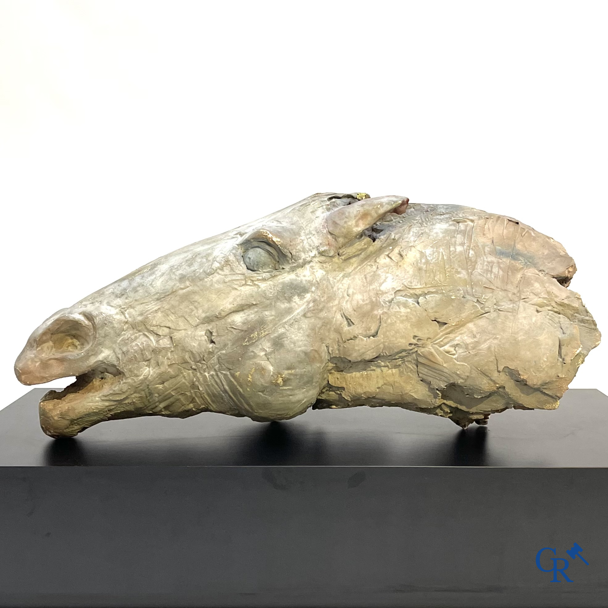 Een grote esquisse in plaaster van een paardenhoofd. Niet gesigneerd.