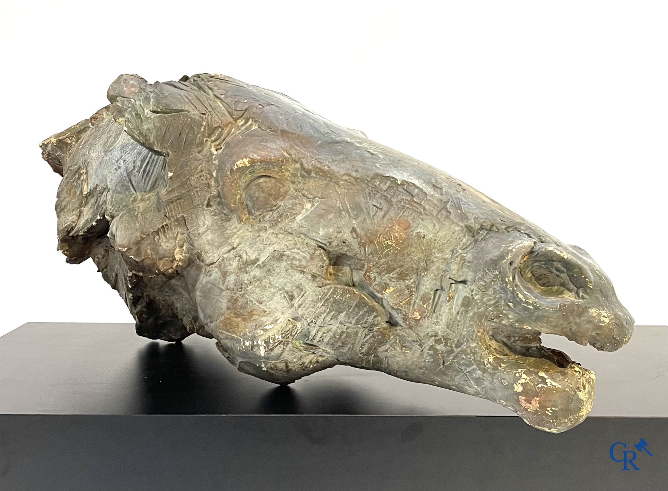 Een grote esquisse in plaaster van een paardenhoofd. Niet gesigneerd.