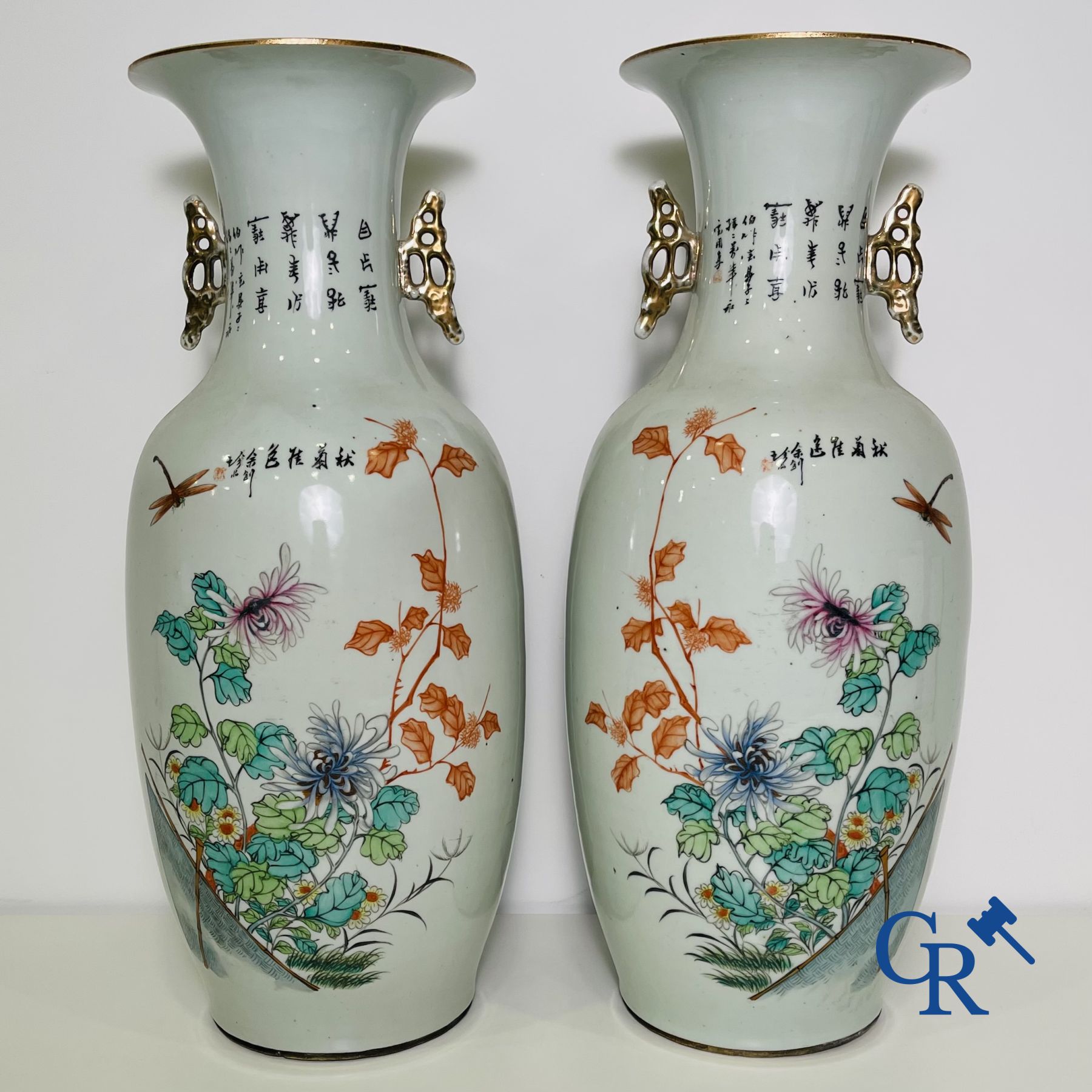 Chinese porcelain: A pair of Chinese vases with a double decor.