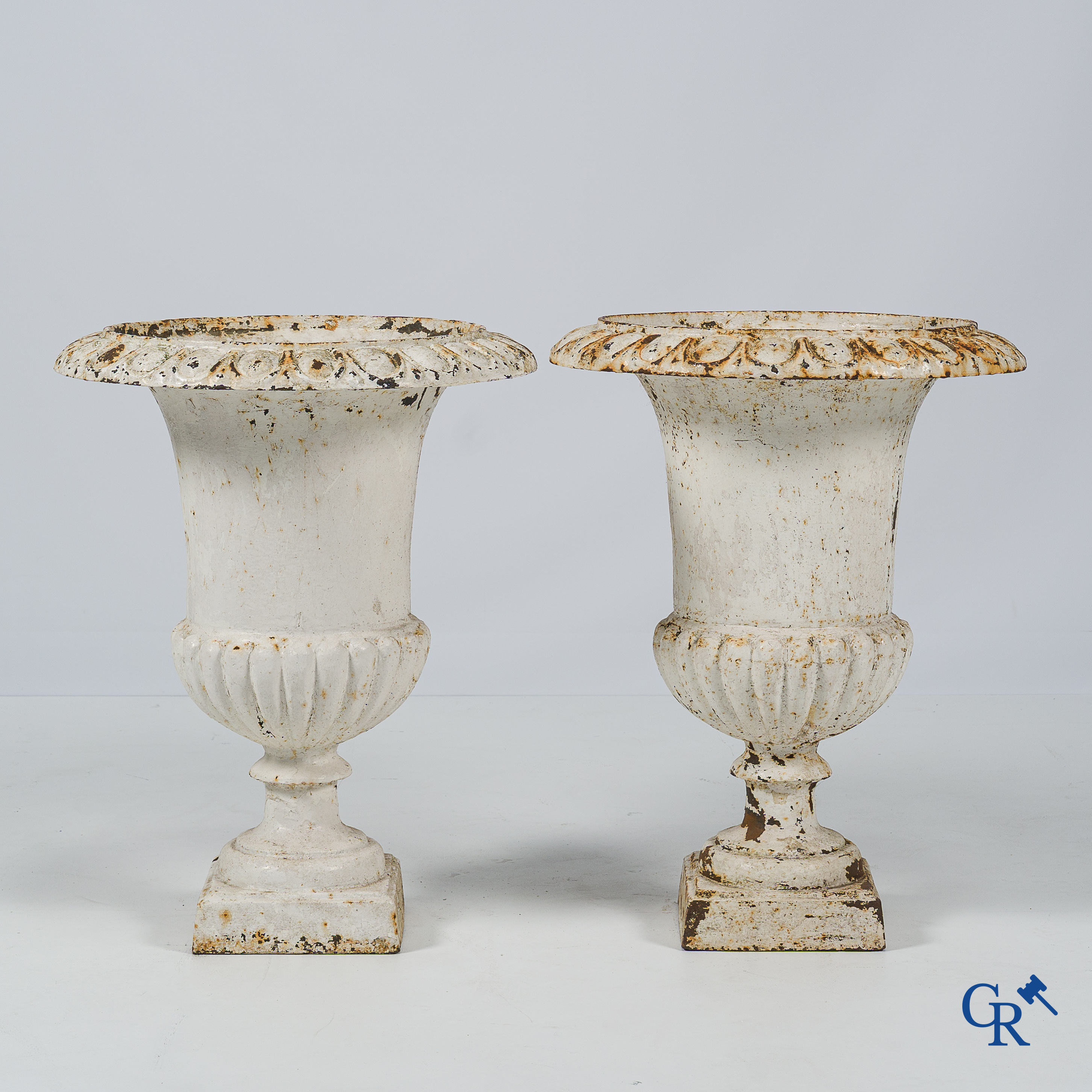 Garden decoration. A pair of large Medici garden vases. 19th century.