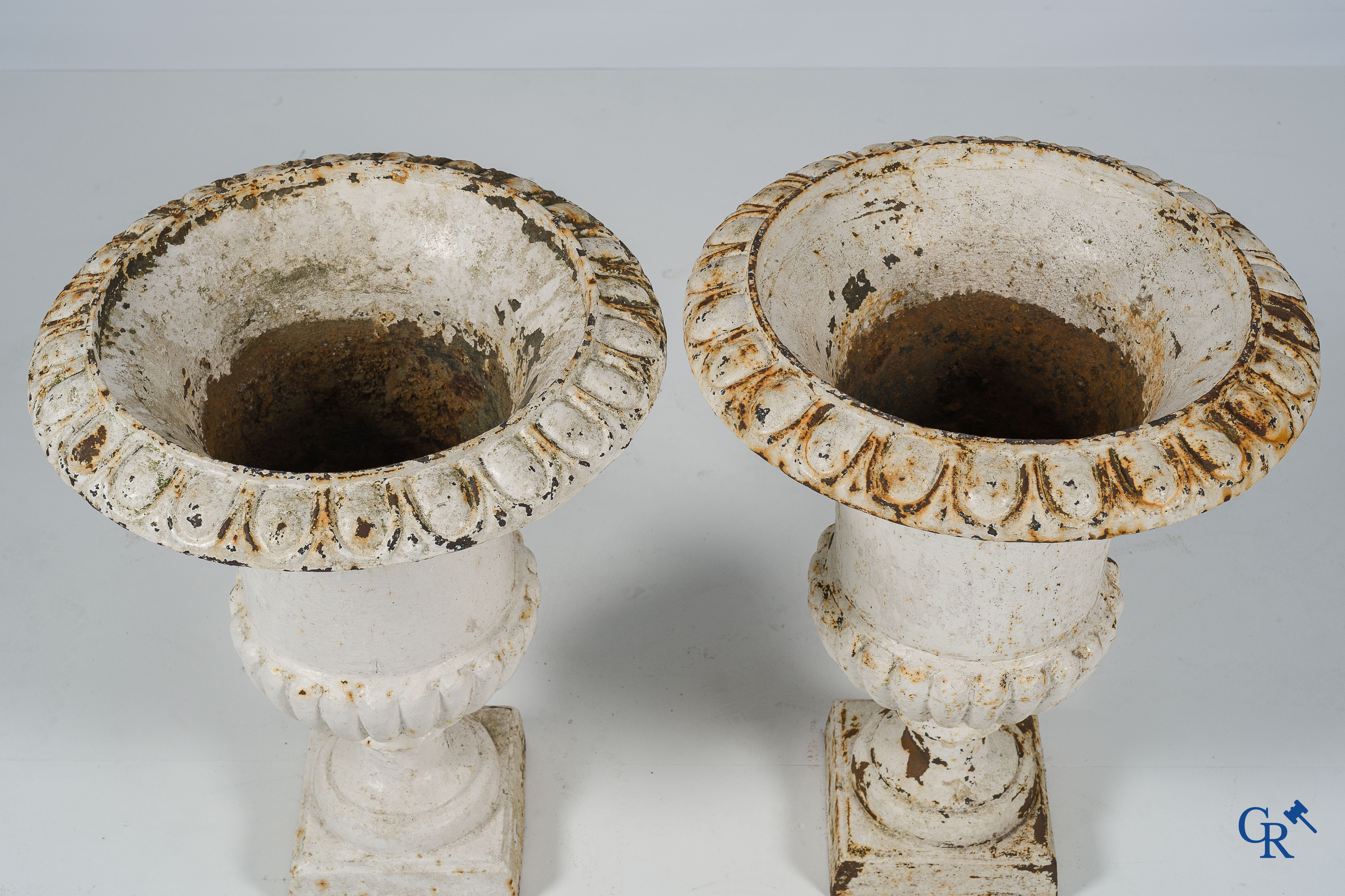 Garden decoration. A pair of large Medici garden vases. 19th century.