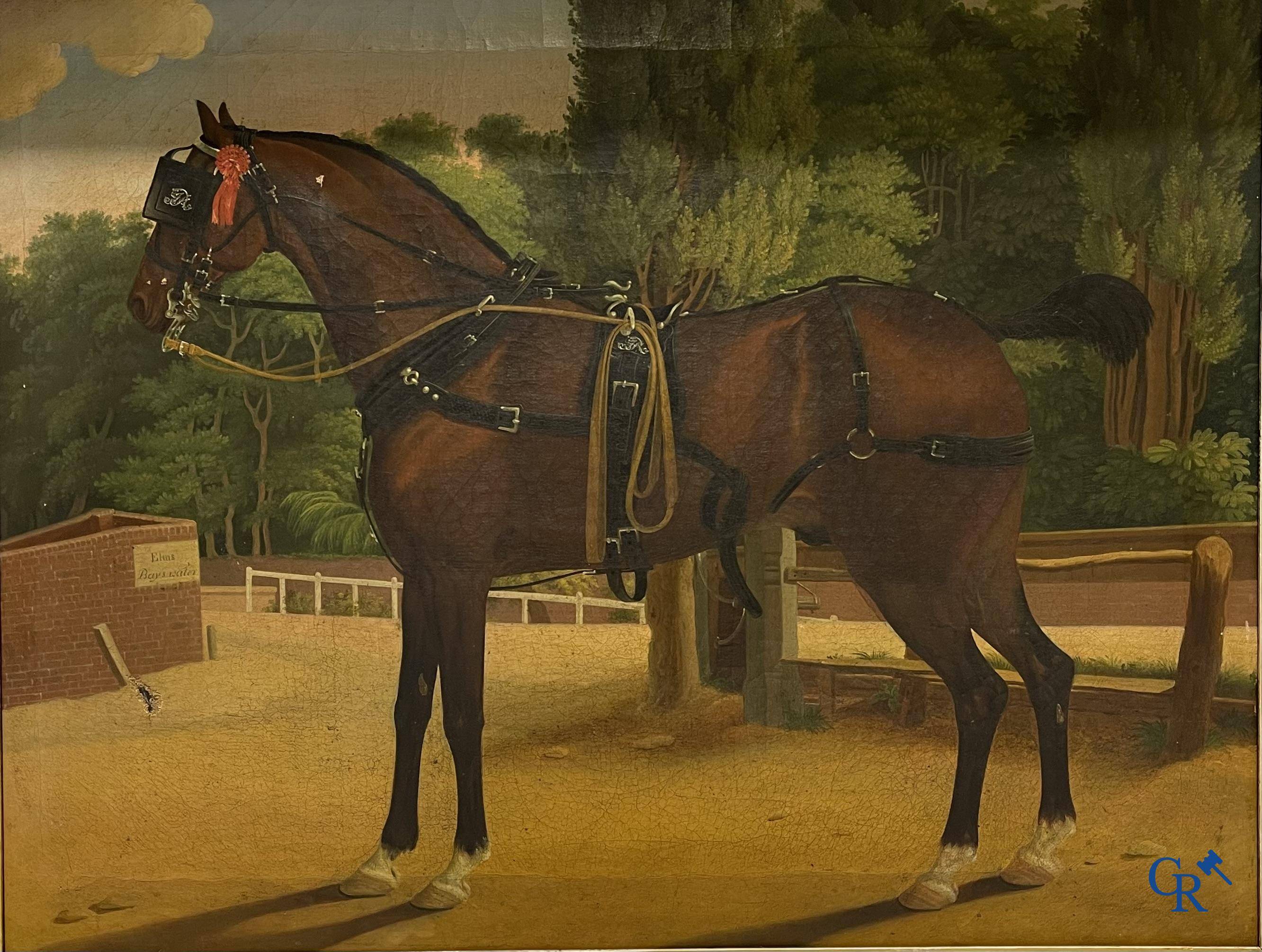 Een portretschilderij van een paard. Olie op doek, 19e eeuw.