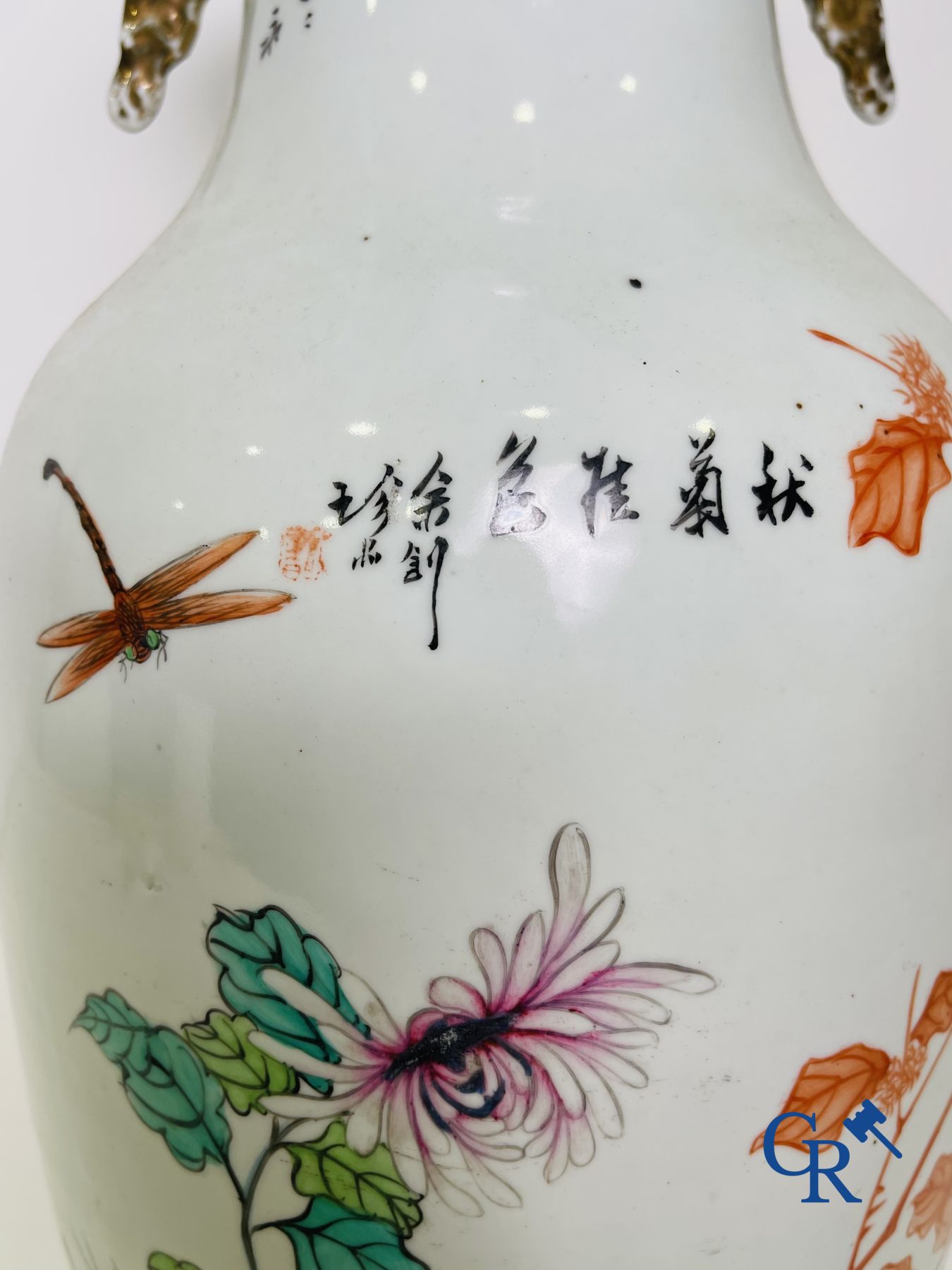 Chinese porcelain: A pair of Chinese vases with a double decor.