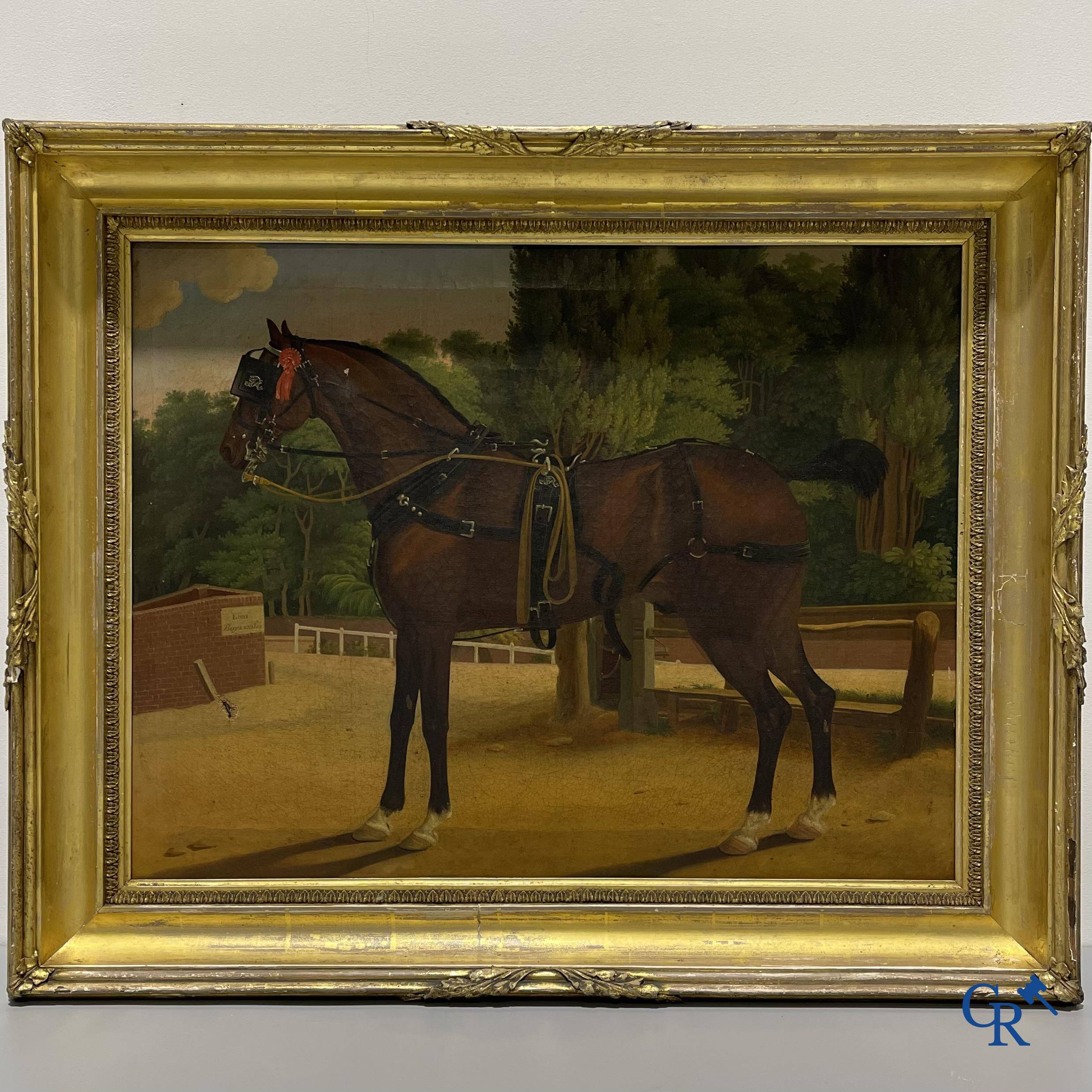 Een portretschilderij van een paard. Olie op doek, 19e eeuw.