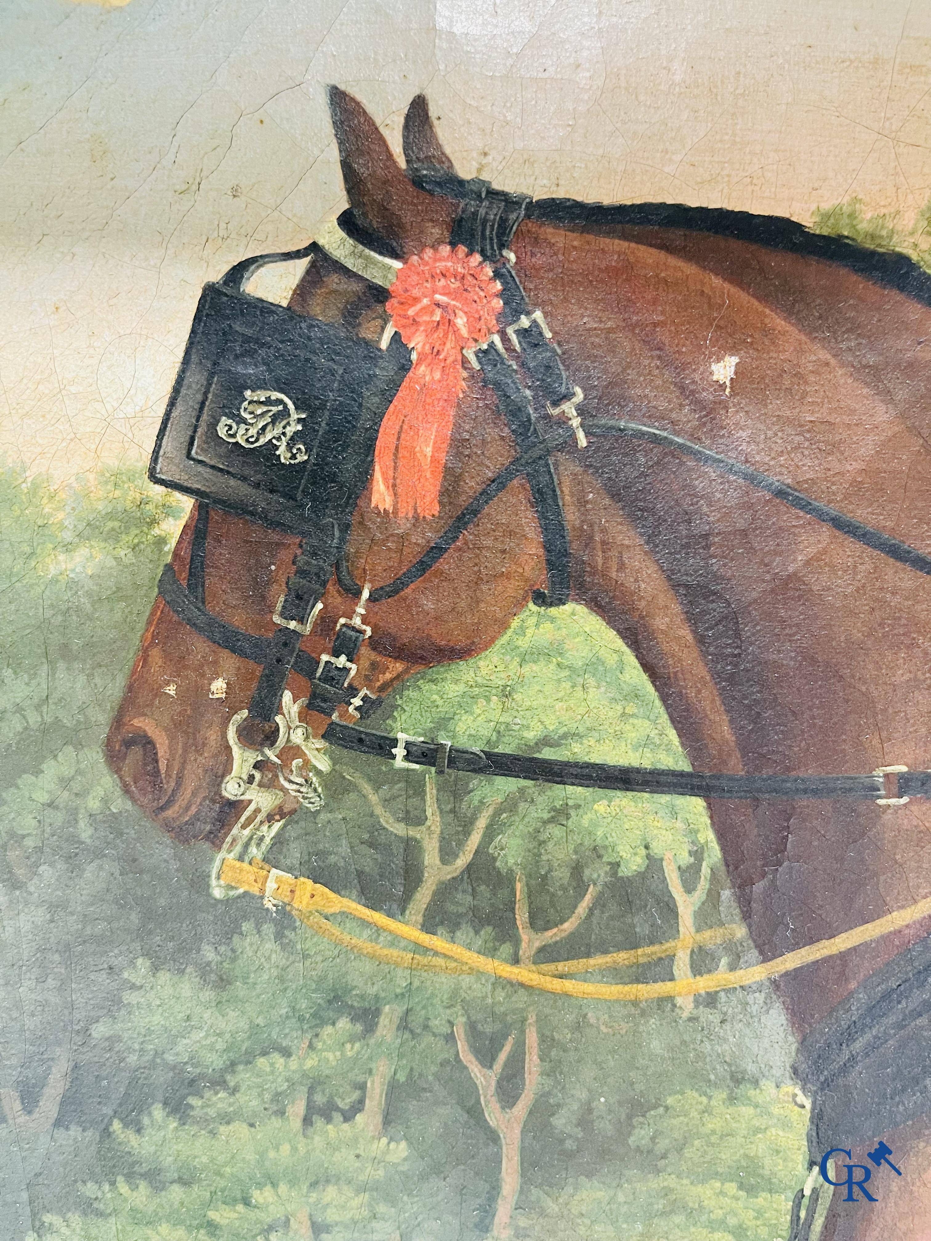 Een portretschilderij van een paard. Olie op doek, 19e eeuw.