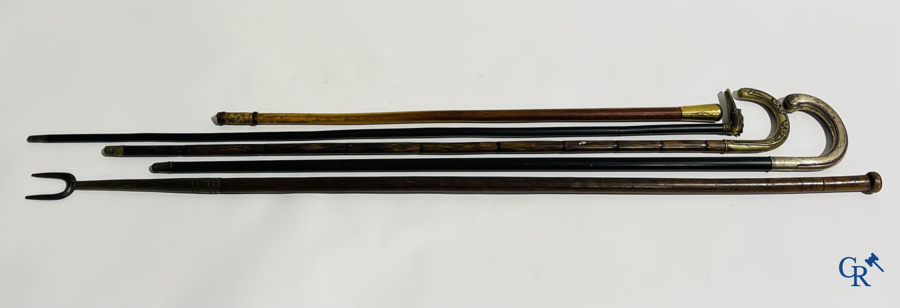 5 walking sticks including 1 with silver handle.