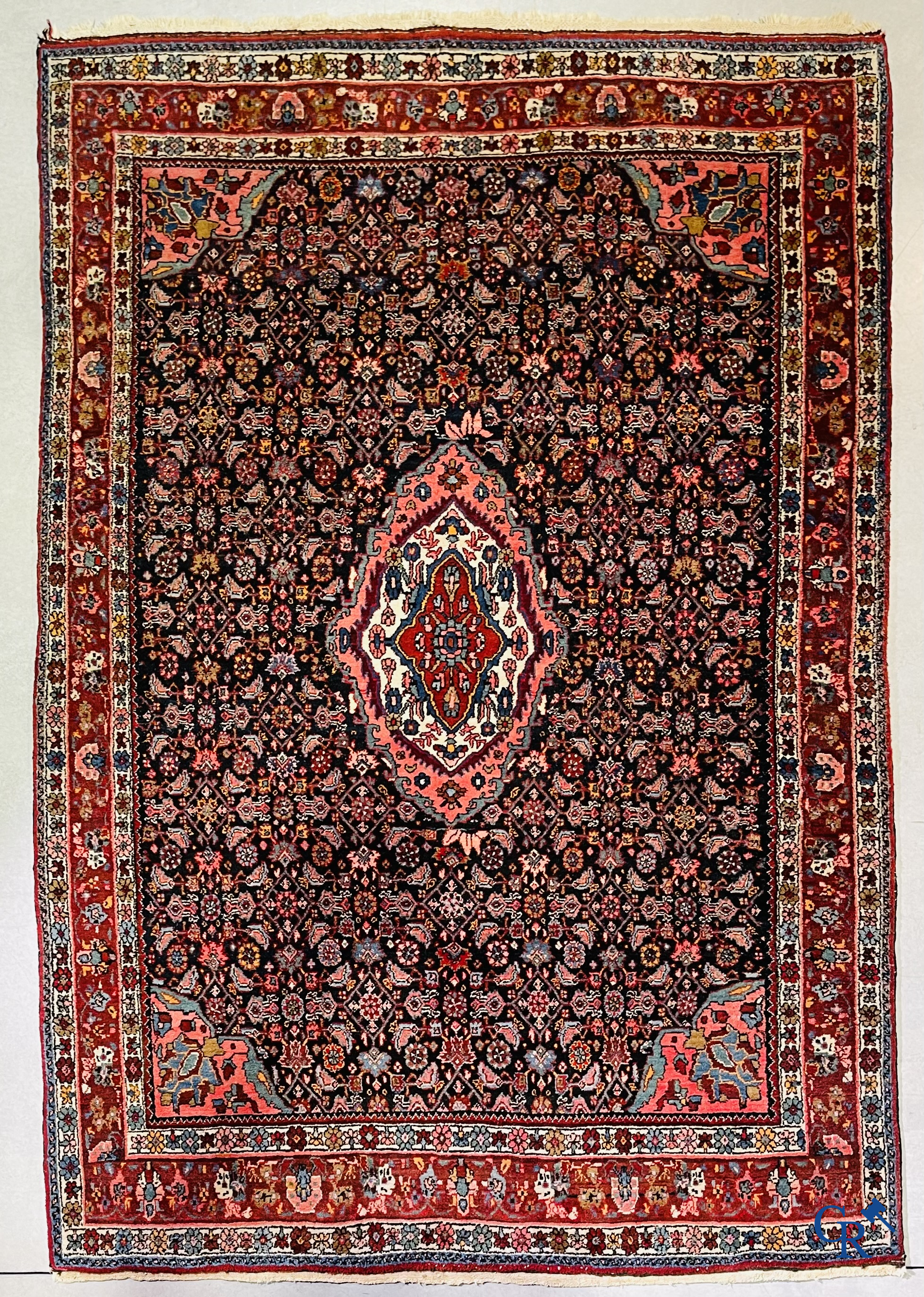 Oriental carpets. Bidjar, Iran. Hand-knotted Persian carpet.